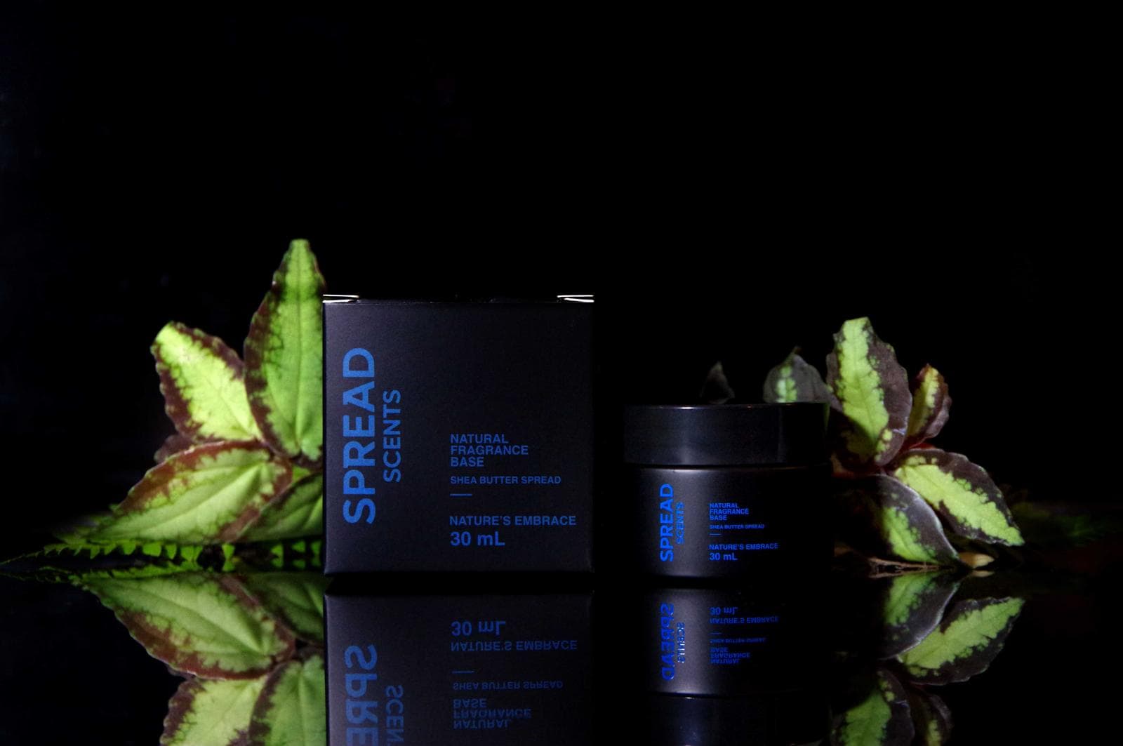 Spread Scents Nature's Embrace Shea Butter Spread — 30 mL
